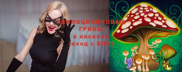крисы Лабытнанги
