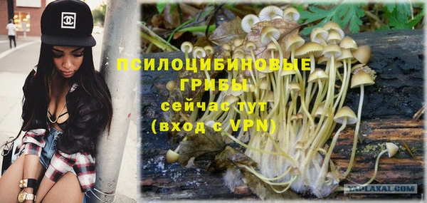 крисы Лабытнанги