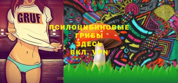 крисы Лабытнанги