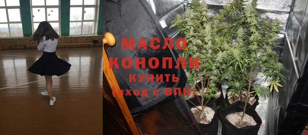 крисы Лабытнанги