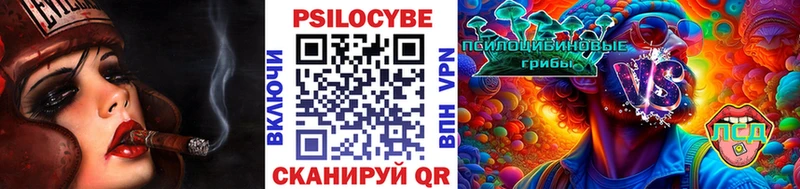 как найти закладки  ссылка на мегу как войти  Галлюциногенные грибы прущие грибы  Приволжский 
